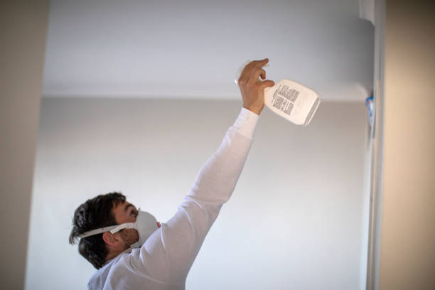 Best Same-Day Mold Removal  in Riverton, NJ