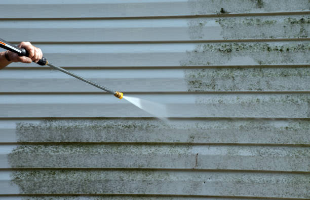 Best Commercial Mold Removal  in Riverton, NJ