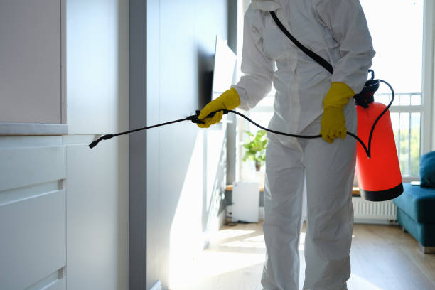 Best Residential Mold Removal  in Riverton, NJ