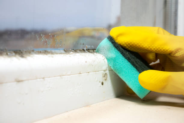 Best Certified Mold Removal  in Riverton, NJ