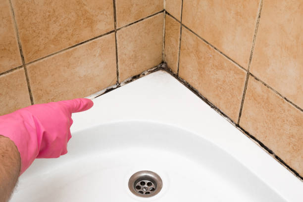 Best Home Mold Removal  in Riverton, NJ